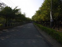 蒜头蔗埕文化园区步道<br/> 摄影：旅遊王攝影組
