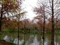 钰展苗圃<br/> 摄影：Eva隨手拍