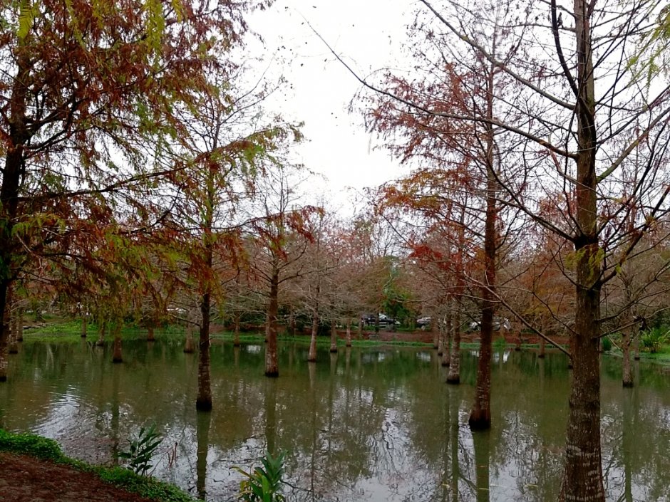 钰展苗圃 摄影：Eva隨手拍