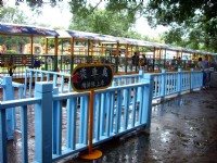 五分車<br/> 攝影：Eva隨手拍
