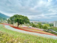 北投社三层崎公园大片花海被誉为台版富良野<br/> 摄影：Eva隨手拍