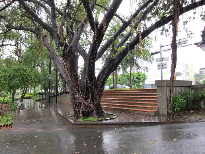 台南公园 摄影：黃儒永