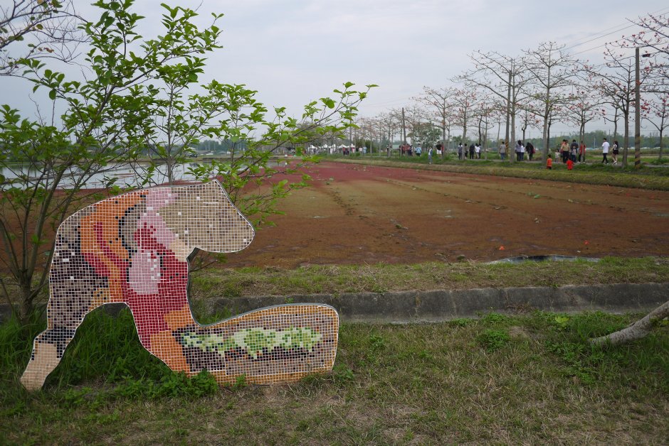 观光示范田园 摄影：旅遊王攝影組
