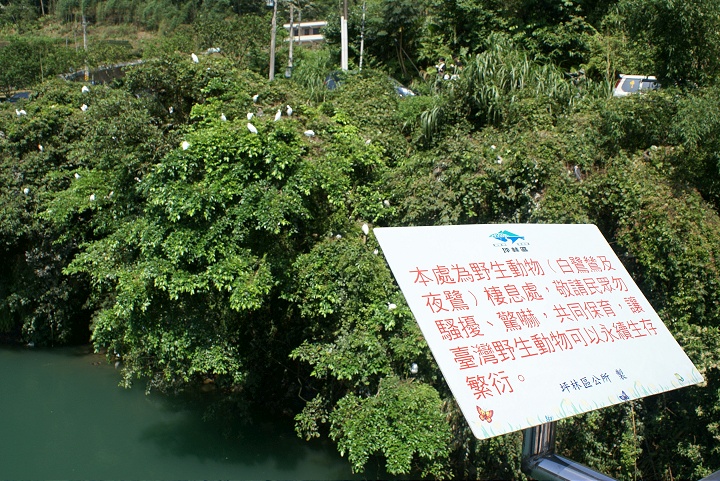 野生动物栖息处 摄影：Eva隨手拍