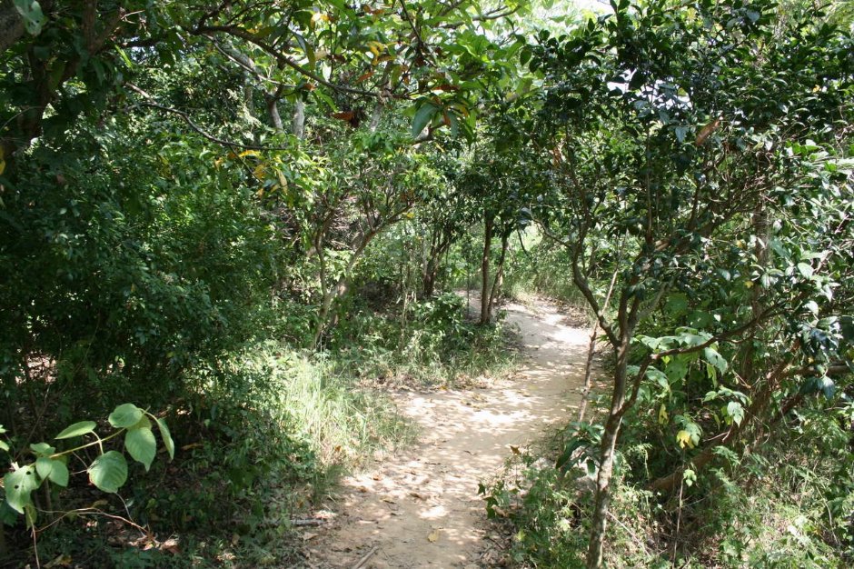 Photo:老山羊部落格