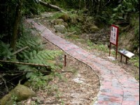 幽情谷步道1<br/> 摄影：雲林縣政府