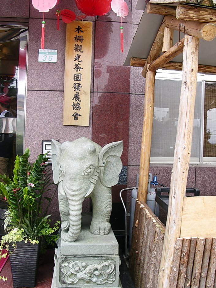 石象 摄影：林夢真