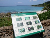 Photo:老山羊部落格