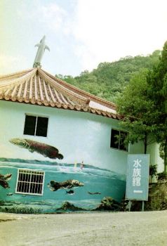 水族馆 摄影：呂玫瑢