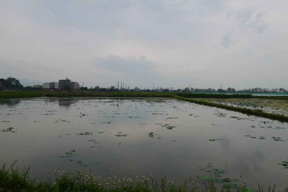 周边田园 摄影：旅遊王攝影組