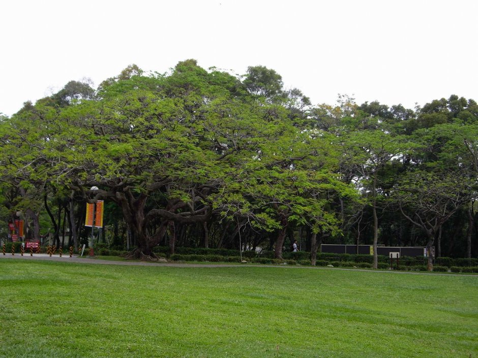 Photo:老山羊部落格