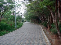 Photo:余燕鳳