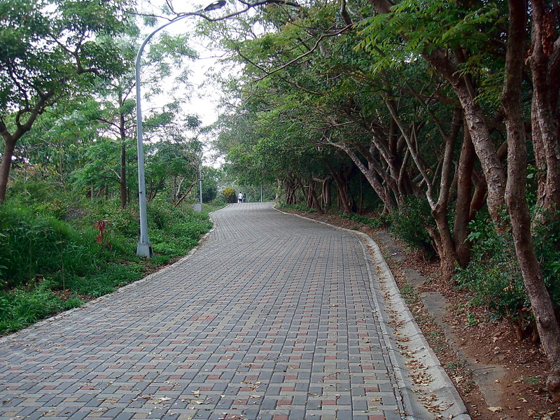 Photo:余燕鳳