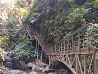 木橋<br/> 攝影：Lu