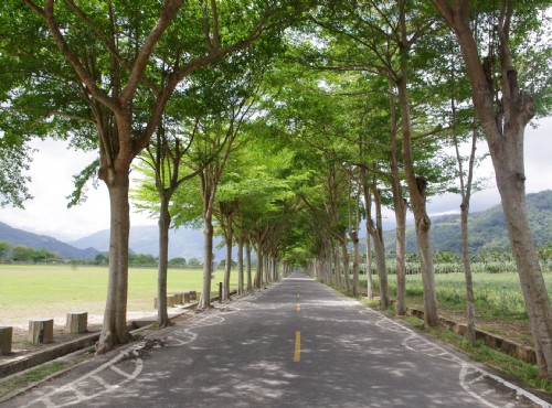 鹿野龍田自行車道-鹿野龍田自行車道
