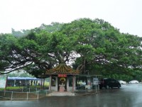 Photo:Eva隨手拍