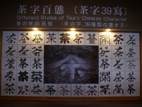 茶字百态<br/> 摄影：Eva隨手拍
