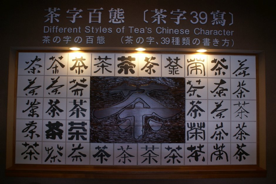 茶字百态 摄影：Eva隨手拍