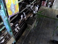 宜农牧场<br/> 摄影：xcatx
