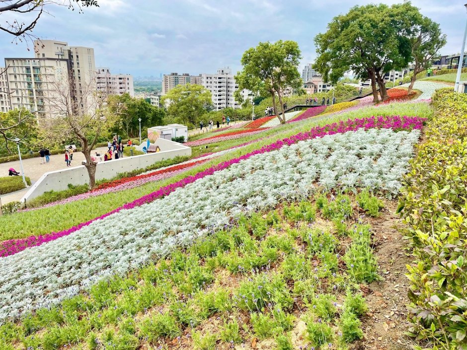 北投社三层崎公园大片花海被誉为台版富良野 摄影：Eva隨手拍
