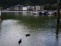 幽静的潭景<br/> 摄影：老山羊部落格