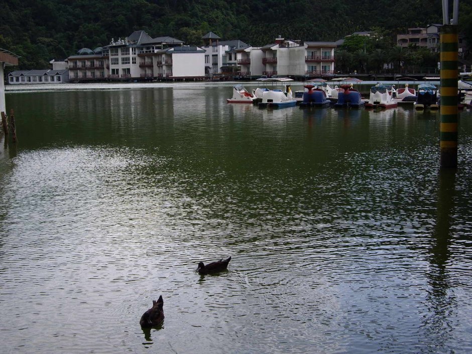 幽静的潭景 摄影：老山羊部落格