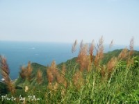 Photo:Eva隨手拍