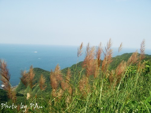 Photo:Eva隨手拍