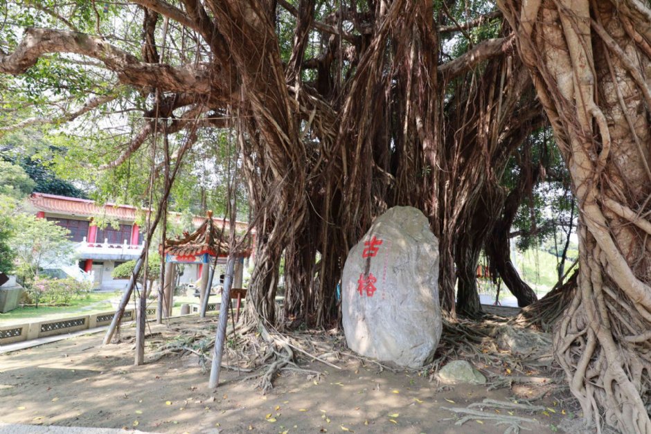 Photo:圖片來源_參山處
