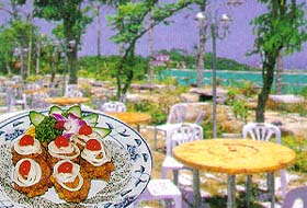 村福花園休閒農場-村福花園休閒農場
