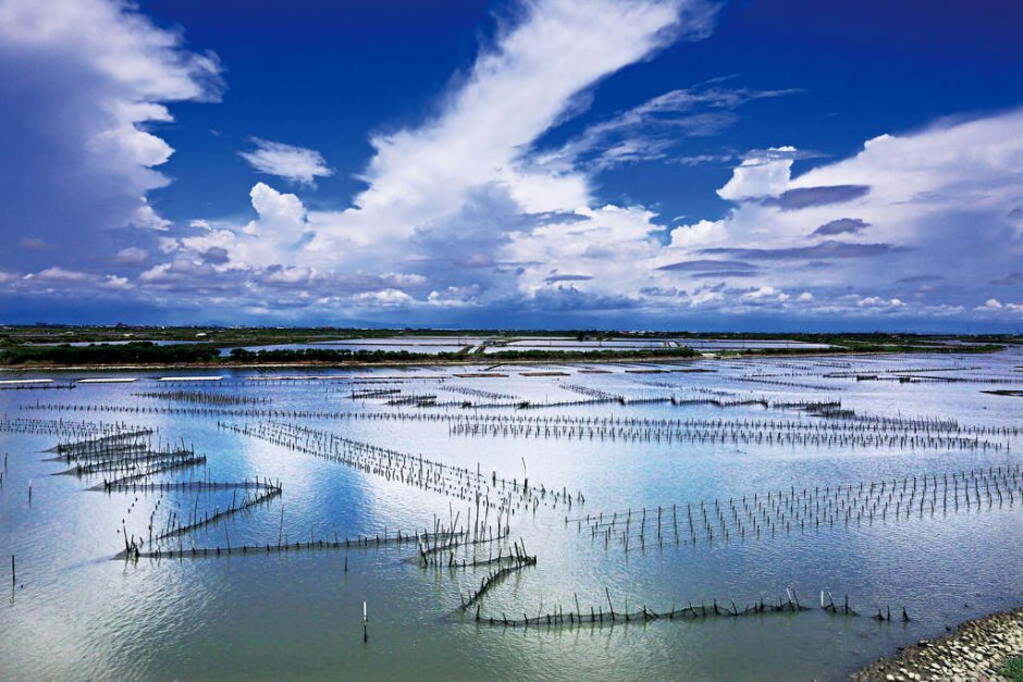 Photo:照片來源_雲嘉南濱海國家風景區管理處