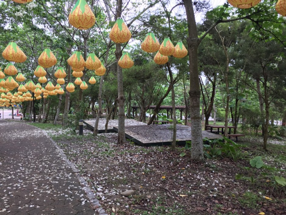 荷苞山登山步道 攝影：雲林縣政府觀光旅遊局 提供