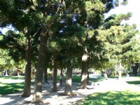 榮星公園<br/> 攝影：amo