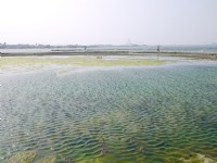 大鵬灣國家風景區