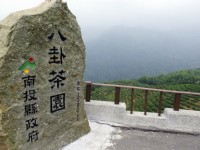 八卦茶園<br/> 攝影：Eva隨手拍