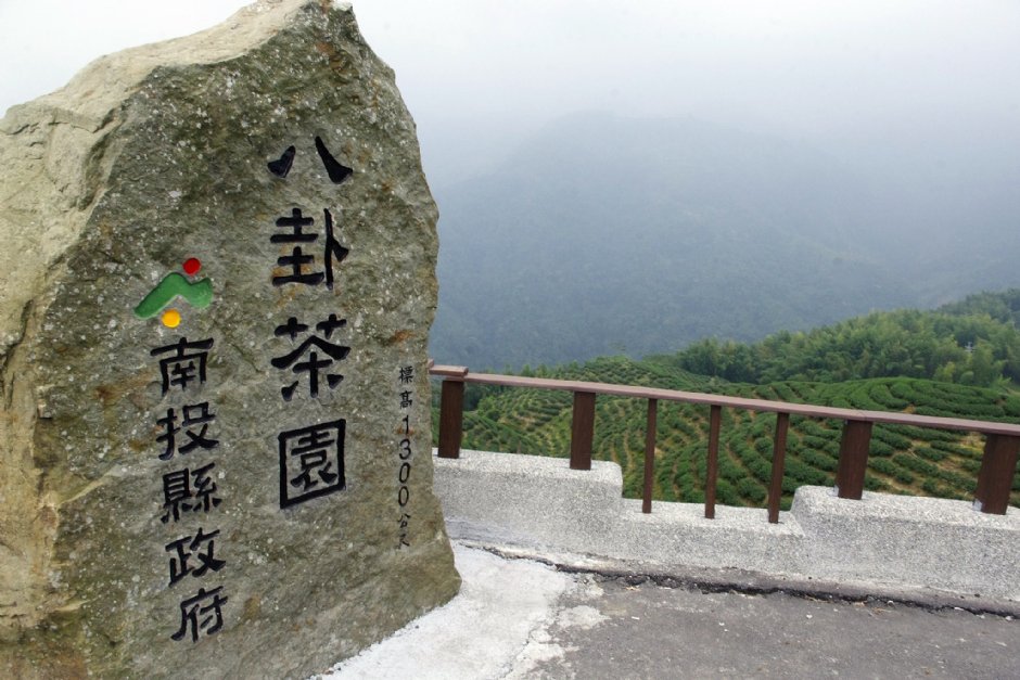 八卦茶園 攝影：Eva隨手拍