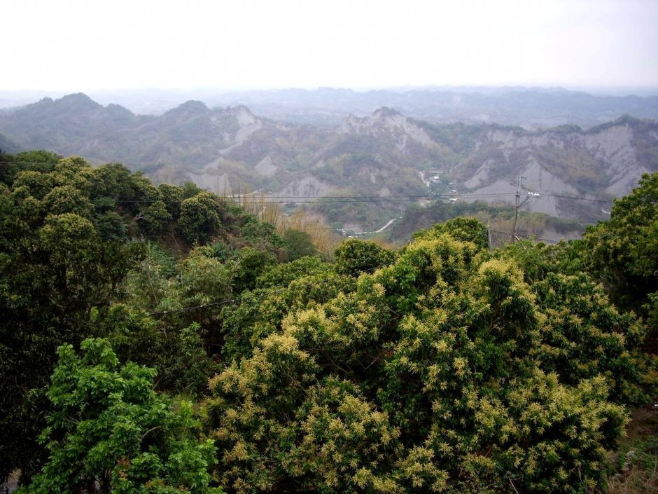 308高地-山峦层叠 摄影：老山羊資訊網