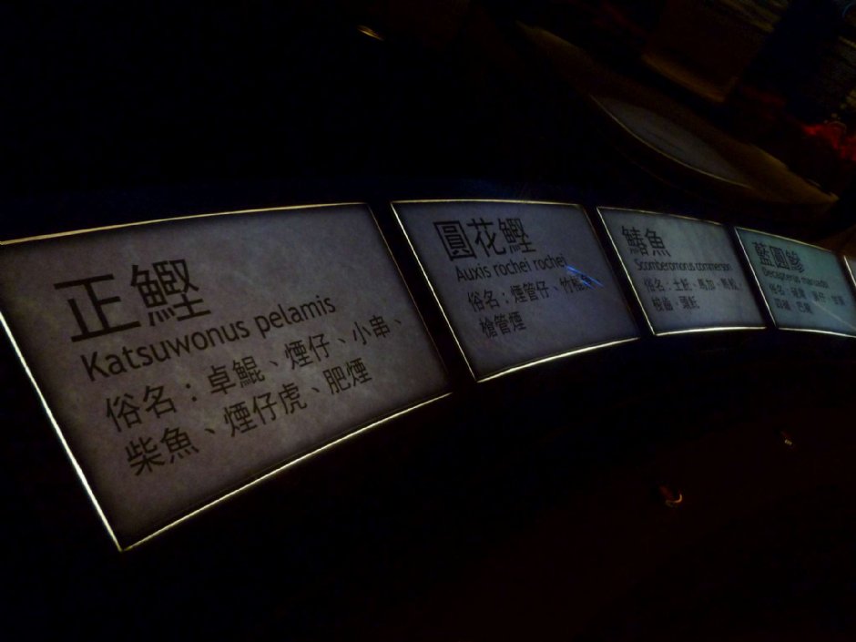 七星柴魚博物館 攝影：陳皮梅