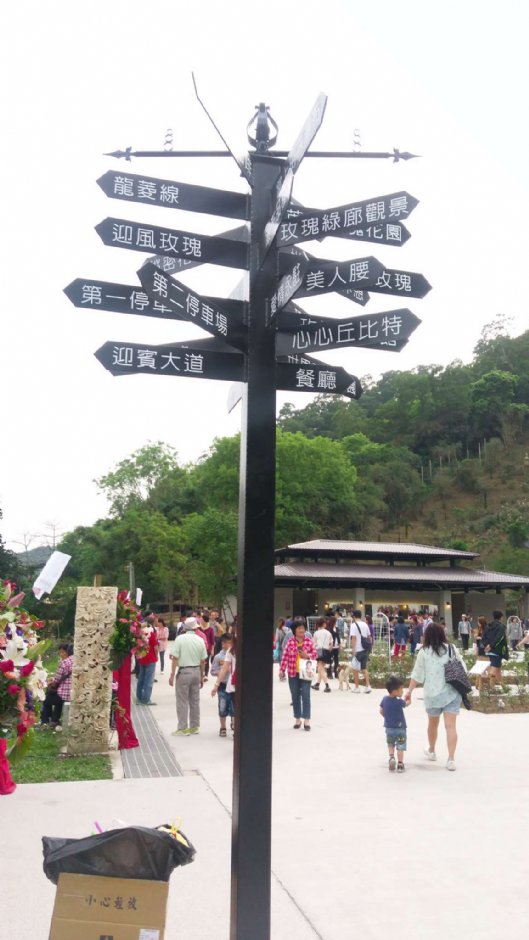 雅闻七里香玫瑰森林 摄影：Eva隨手拍