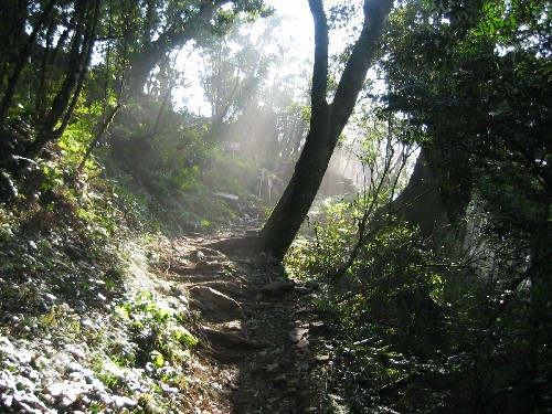 Photo:自助旅行家族