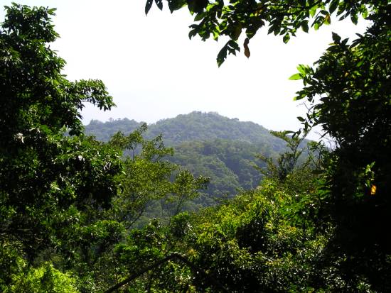 炮台山 摄影：老山羊資訊網