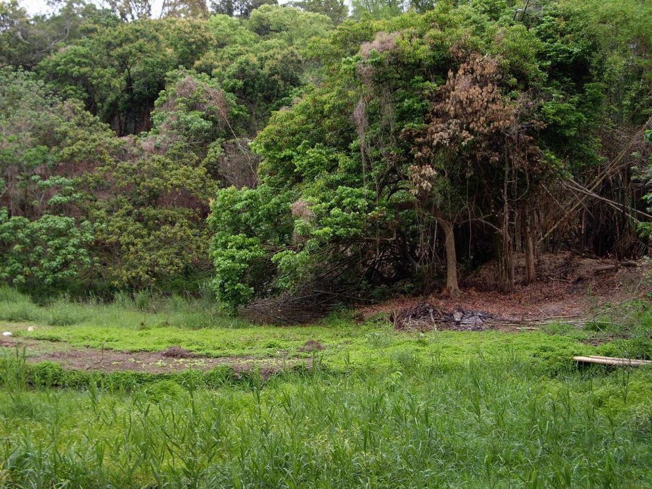 環潭步道-草地 攝影：老山羊資訊網