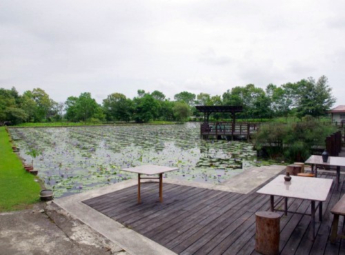 蓮城蓮花園-蓮城蓮花園