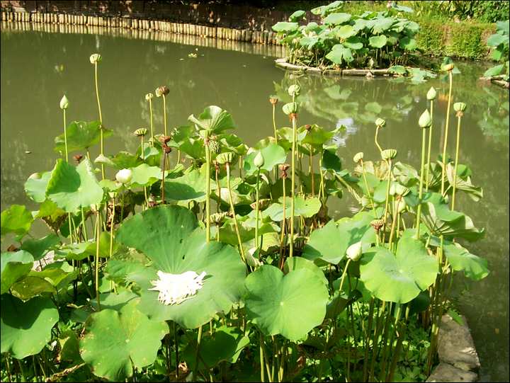 Photo:Eva隨手拍