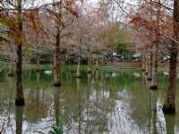 钰展苗圃<br/> 摄影：Eva隨手拍