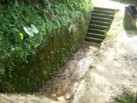 Photo:Eva隨手拍