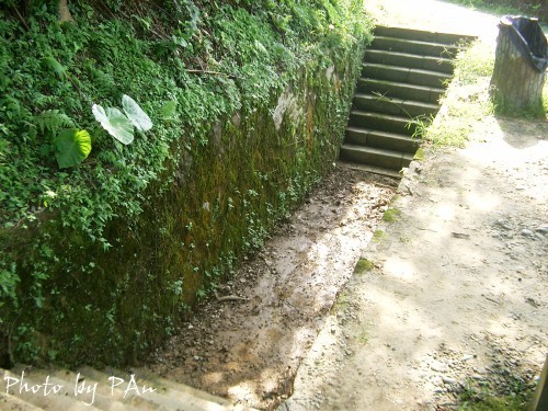 Photo:Eva隨手拍