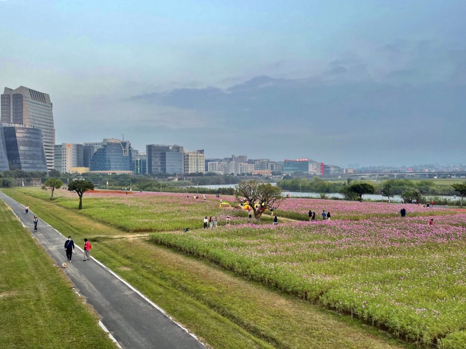 美堤河濱公園(2021年花海) 攝影：Eva隨手拍