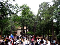 御花園內一景<br/> 攝影：方盛文