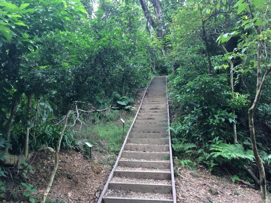 富陽自然生態公園 攝影：Eva隨手拍